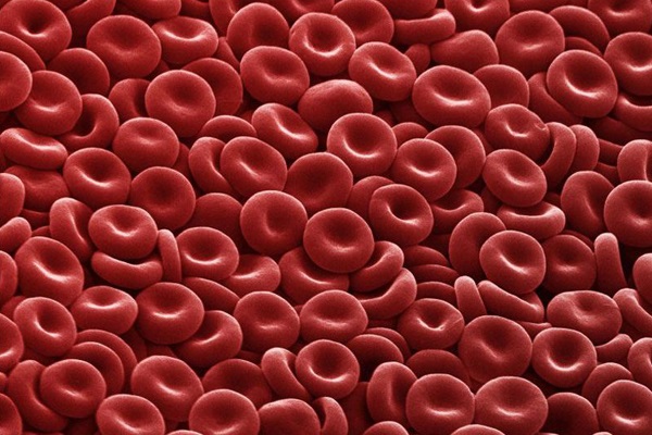 hemogram