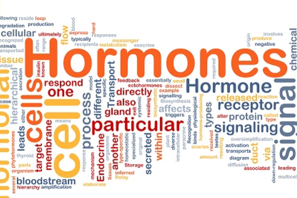 endocrinology