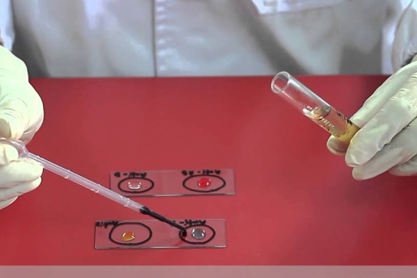 transfusion panel