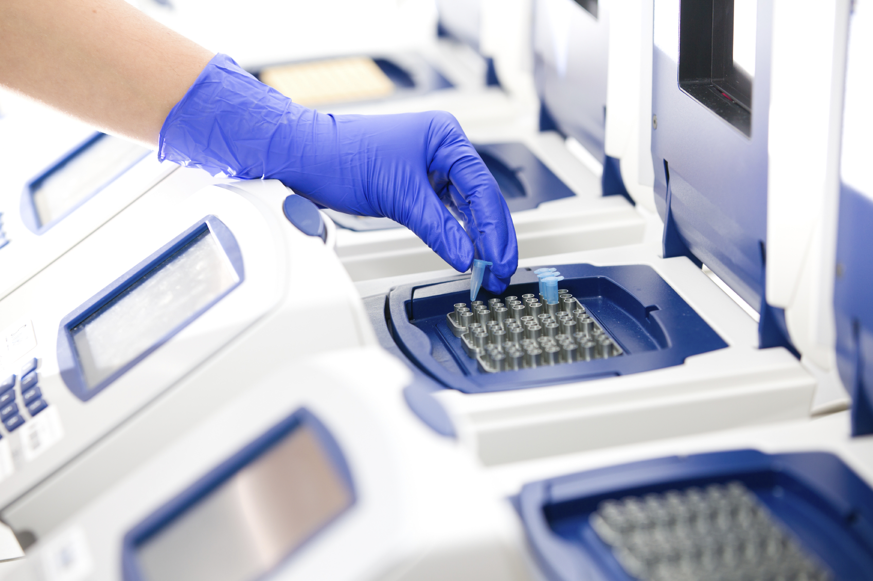 real time pcr